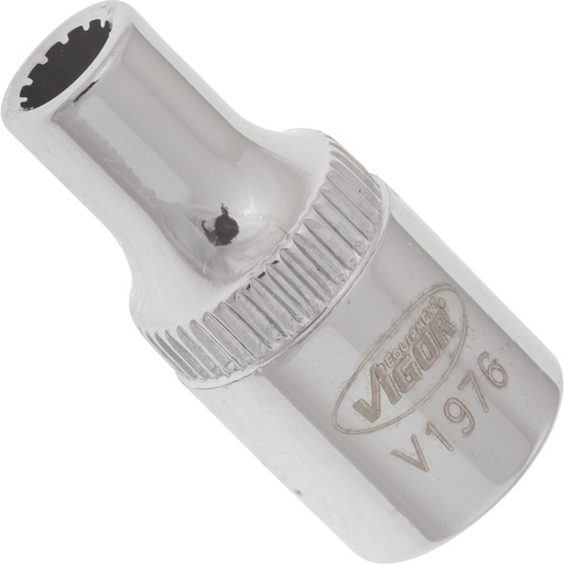 [V1976] Socket with multi-purpose profile ∙ size 4 mm (V1976, VIGOR)