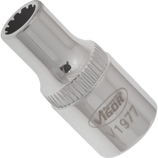 [V1977] Galvutė with multi-purpose profile ∙ size 5 mm (V1977, VIGOR)