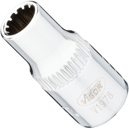 [V1978] Muciņa ar universālo profilu 1/4 collas ∙ izmērs 5,5 mm (V1978, VIGOR)