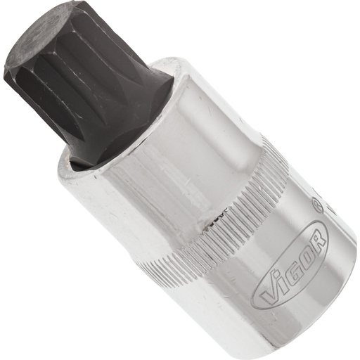 [V2100] Screwdriver socket for screws with internal serration (XZN), 1/2 inch, M16, 55 mm (V2100, VIGOR)
