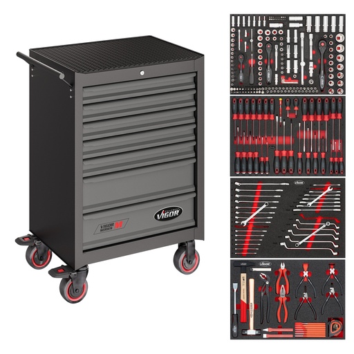[V2379N/210] Instrumentu ratiņi ar 210 daļu instrumentu komplektu, Series M (V2379N/210, VIGOR)