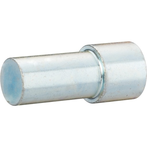 [V4699-6] Preses ass (V4699-6, VIGOR)