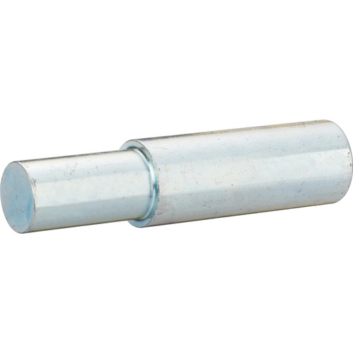 [V4699-7] Preses ass (V4699-7, VIGOR)