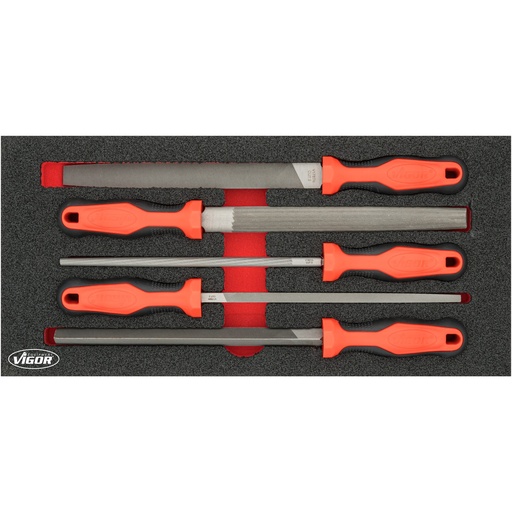 [V5072] File set (V5072, VIGOR)