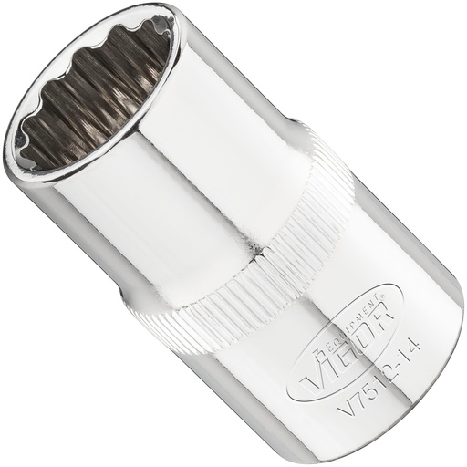 [V7512-14] Galvutė V7512-14, VIGOR