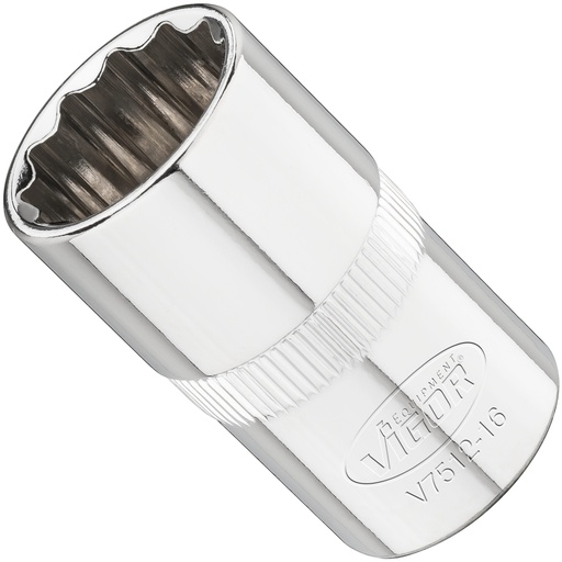 [V7512-16] Galvutė V7512-16, VIGOR