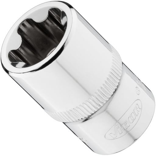 [V7920-EPR20] Galvutė V7920-EPR20, VIGOR