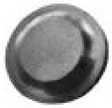 [05.066.33.R11] Apvalus feritas D.32 mm (05.066.33.R11, MARCO TOOLS)