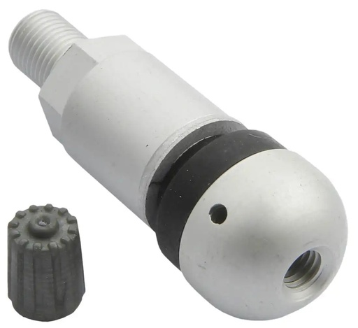 [03-00-77] ᴿᴰ Ventilis slėgio jutikliui BERU TPMS-01 (03-00-77, REDATS)