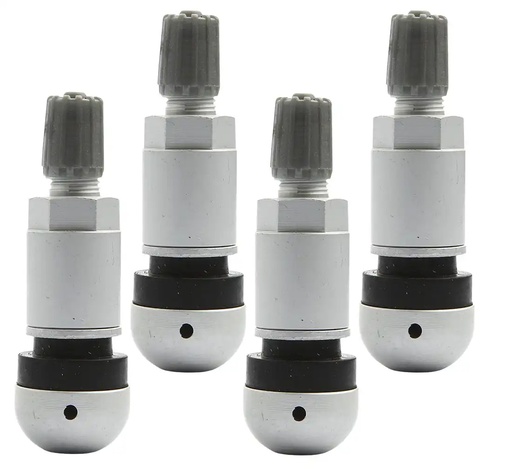 [03-02-14] ᴿᴰ Riepu ventilis TPMS spiediena sensoriem TPMS-01, 4 gab. (03-02-14, REDATS)