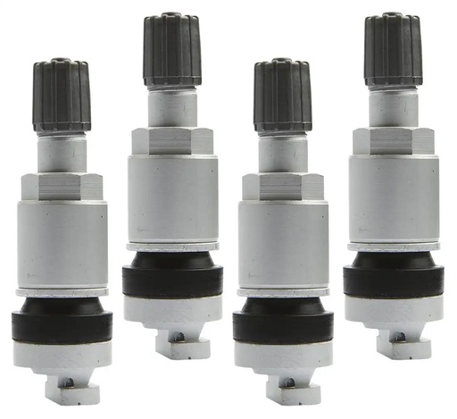 [03-02-27] ᴿᴰ Padangų ventilis TPMS slėgio jutikliams TPMS-13, 4 vnt. (03-02-27, REDATS)
